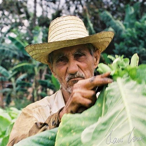 2002 CUBA, Piar del Rio, B 8131_12, Tobacco Planter, 850x850px